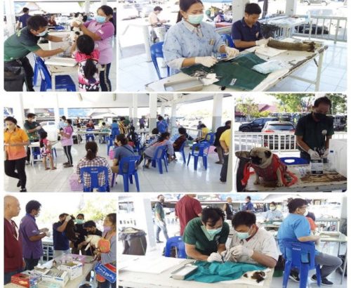 บริการฉีดวัคซีนป้องกันโรคพิษสุนัขบ้า และทำหมันสุนัขและแมว