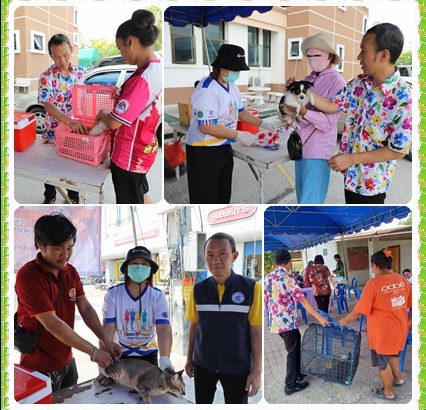 บริการฉีดวัคซีนป้องกันโรคพิษสุนัขบ้า