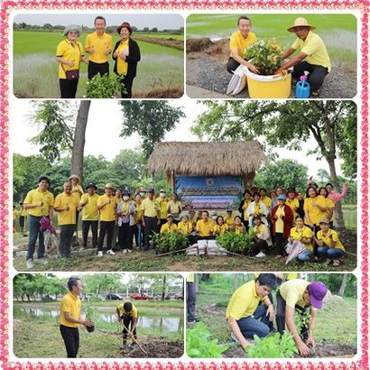 โครงการถนนน่ามองเฉลิมพระเกียรติพระบาทสมเด็จพระเจ้าอยู่หัว และร่วมปรับปรุงสวนสมุนไพร ในโครงการ 1 อปท. 1 สวนสมุนไพร